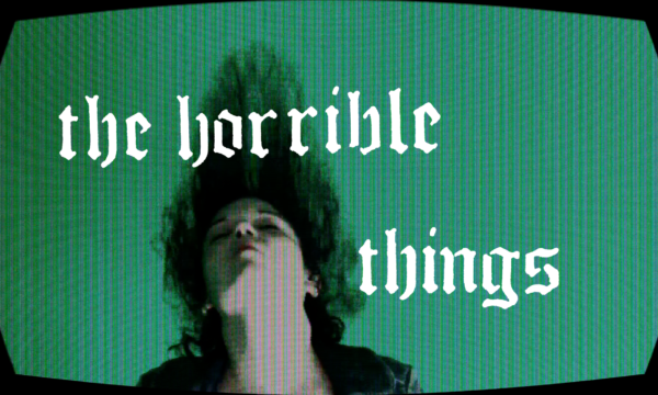 The Horrible Things Still / Directed, filmed and edited by Sarasara